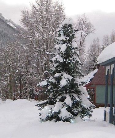 Blair Street Hostel Telluride Extérieur photo