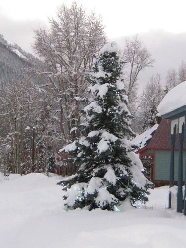 Blair Street Hostel Telluride Extérieur photo